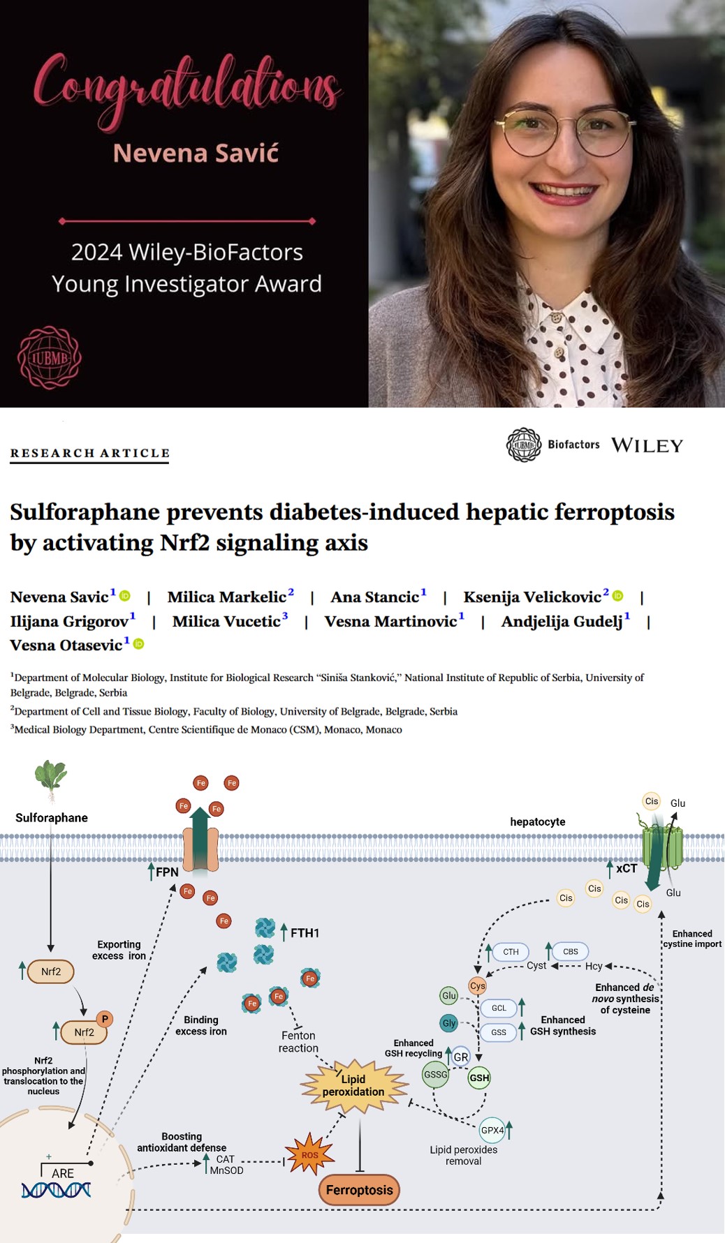 Wiley Biofactors Young Investigator Award 2024 Nevena Savić