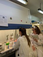 iMedULisboa-05