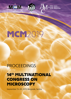 Proceedings MCM2019 K1