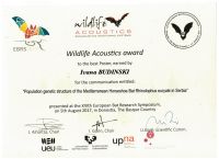 Diploma