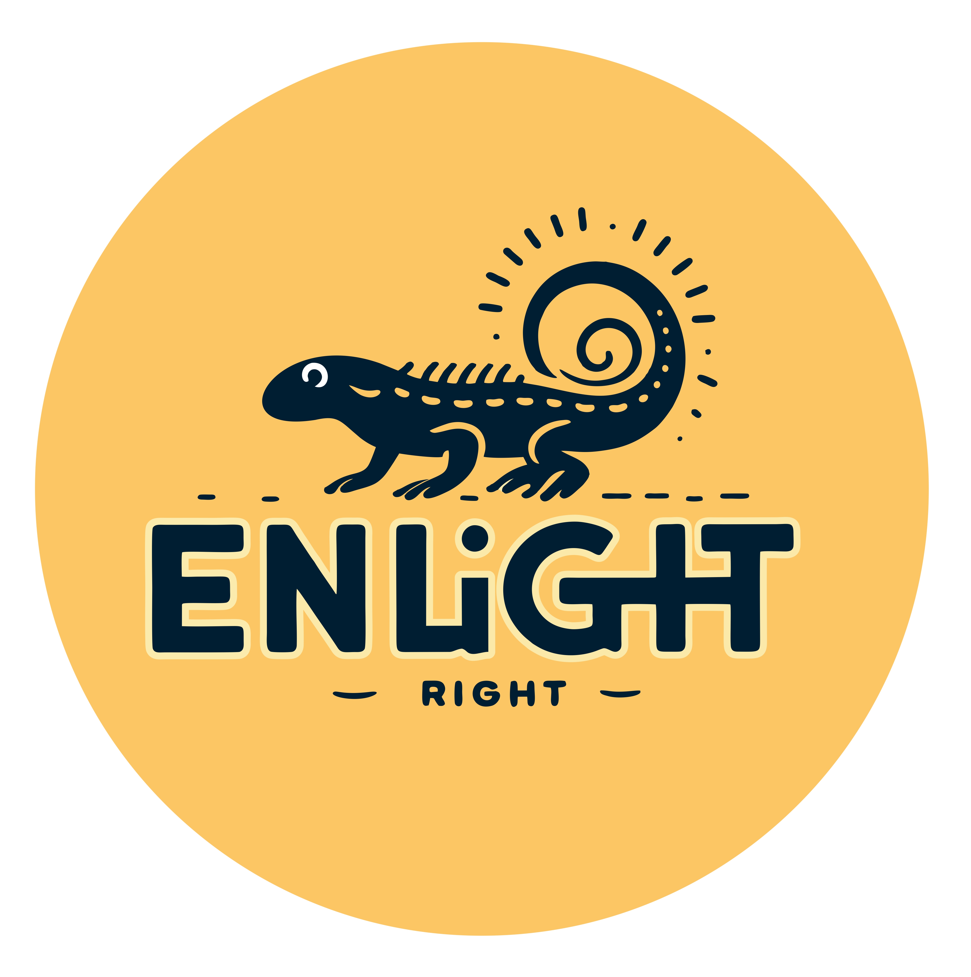 Enlight Logo projekta