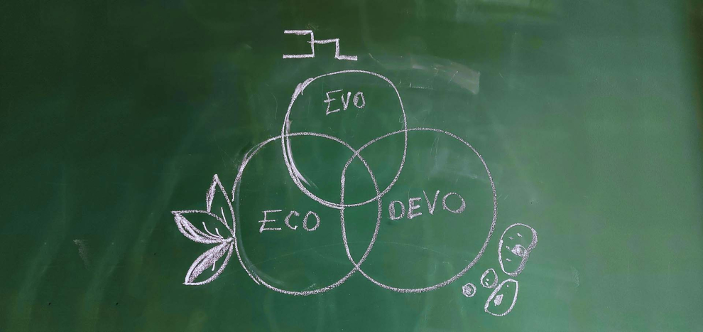 Eco-Evo-Devo