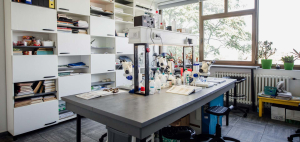 Hydroecology and Water Protection