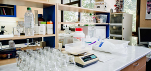 Genetics of Populations and Ecogenotoxicology