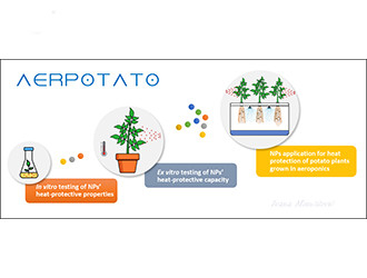 AerPotato - Employing modern aeroponic technology and stress-protective nanoparticles for improved seed potato production under elevated temperature, 2023-2026