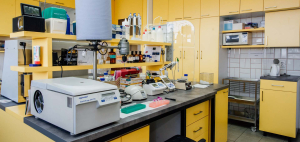 Insect Physiology and Biochemistry